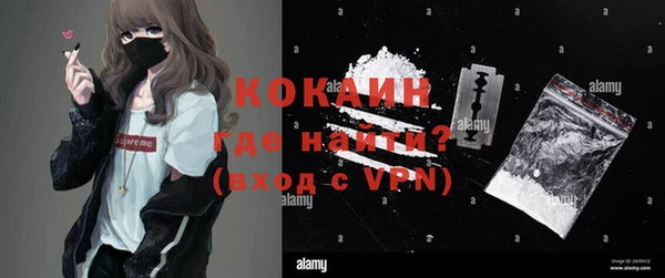 стаф Каменка