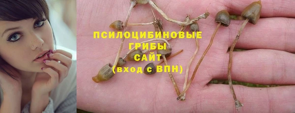 apvp Магадан