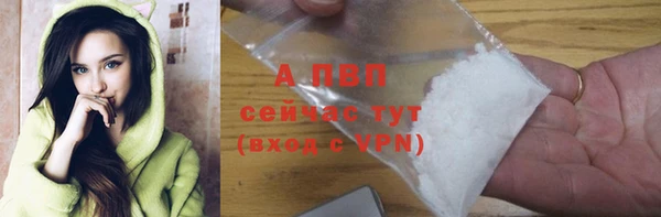 спайс Ладушкин