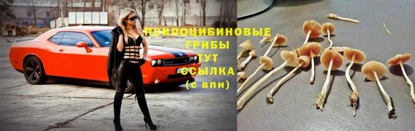 прущая мука Каменск-Шахтинский
