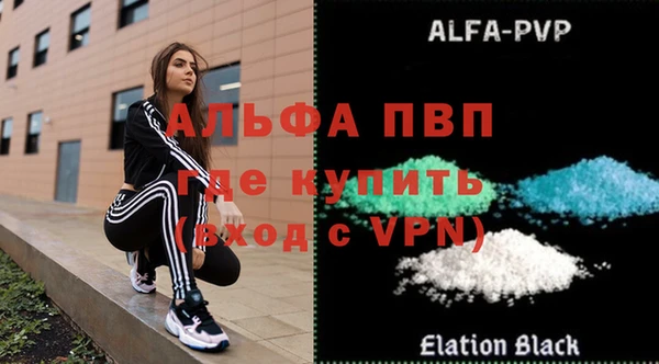 стаф Каменка
