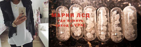 стаф Каменка